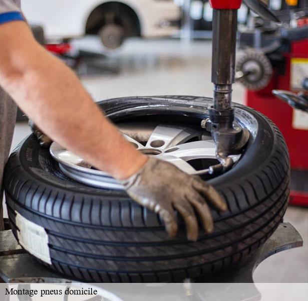 societe-de-montage-pneus-domicile-la-ferte-alais-91590-3