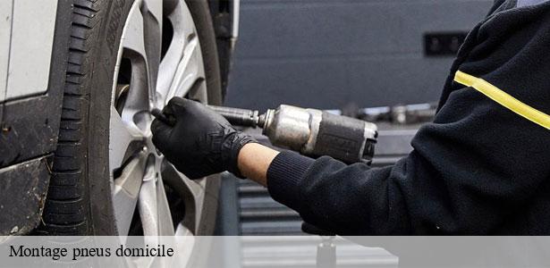 societe-de-montage-pneus-domicile-la-ferte-alais-91590-6